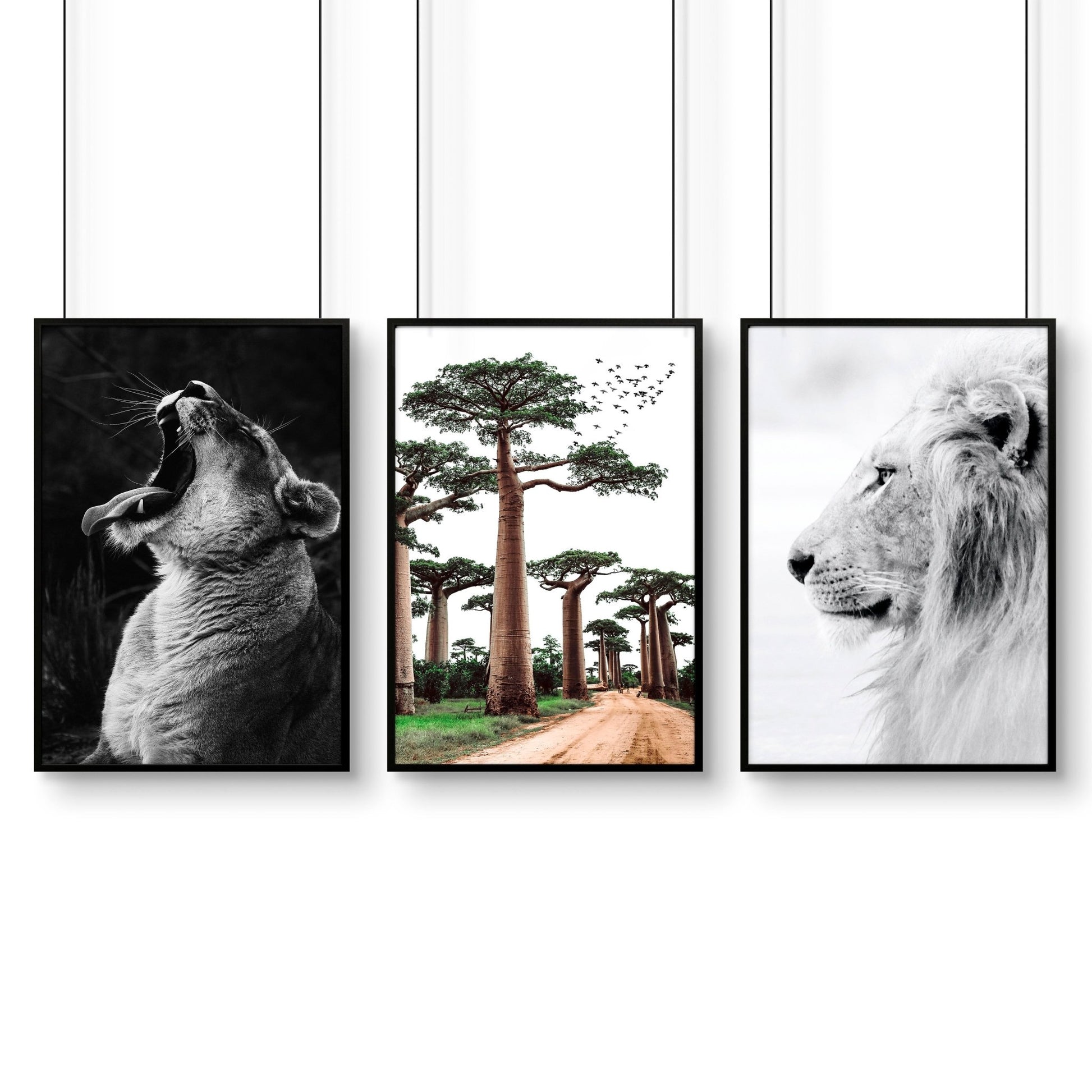 Wall Art For Living Room Canvas | Set of 3 African Wildlife Wall art Prints