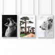 Wall Art For Living Room Canvas | Set of 3 African Wildlife Wall art Prints