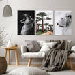 Wall Art For Living Room Canvas | Set of 3 African Wildlife Wall art Prints