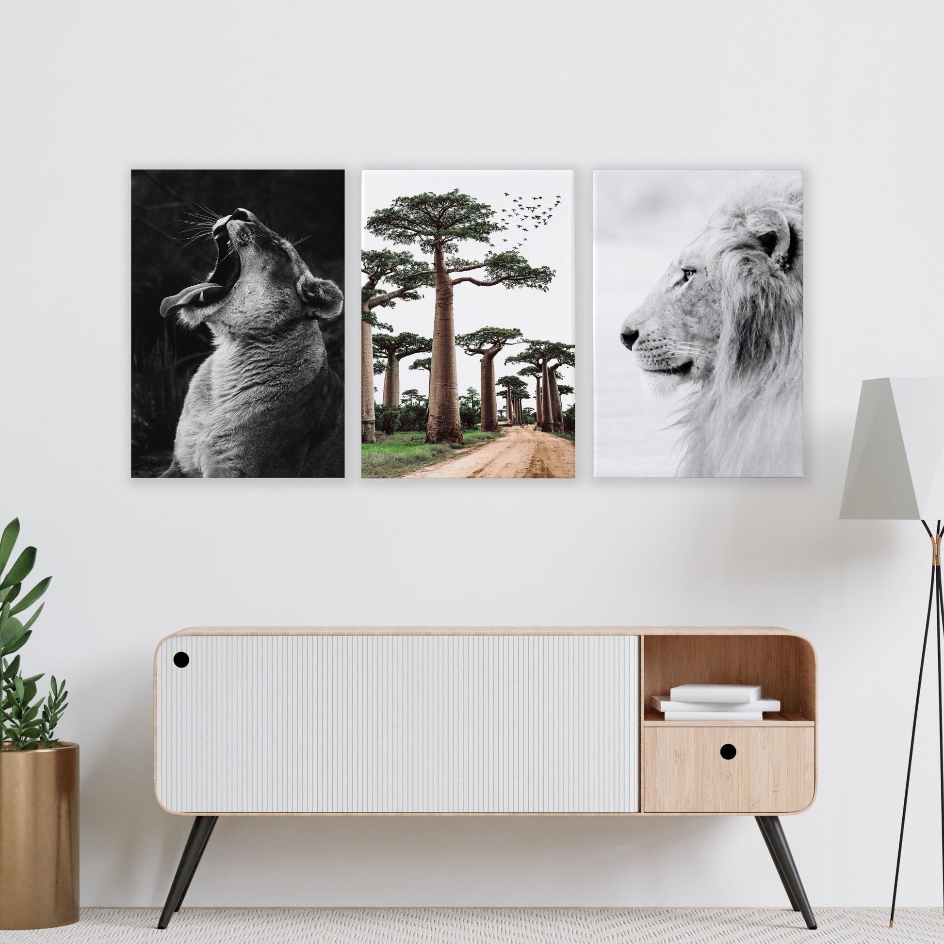 Wall Art For Living Room Canvas | Set of 3 African Wildlife Wall art Prints