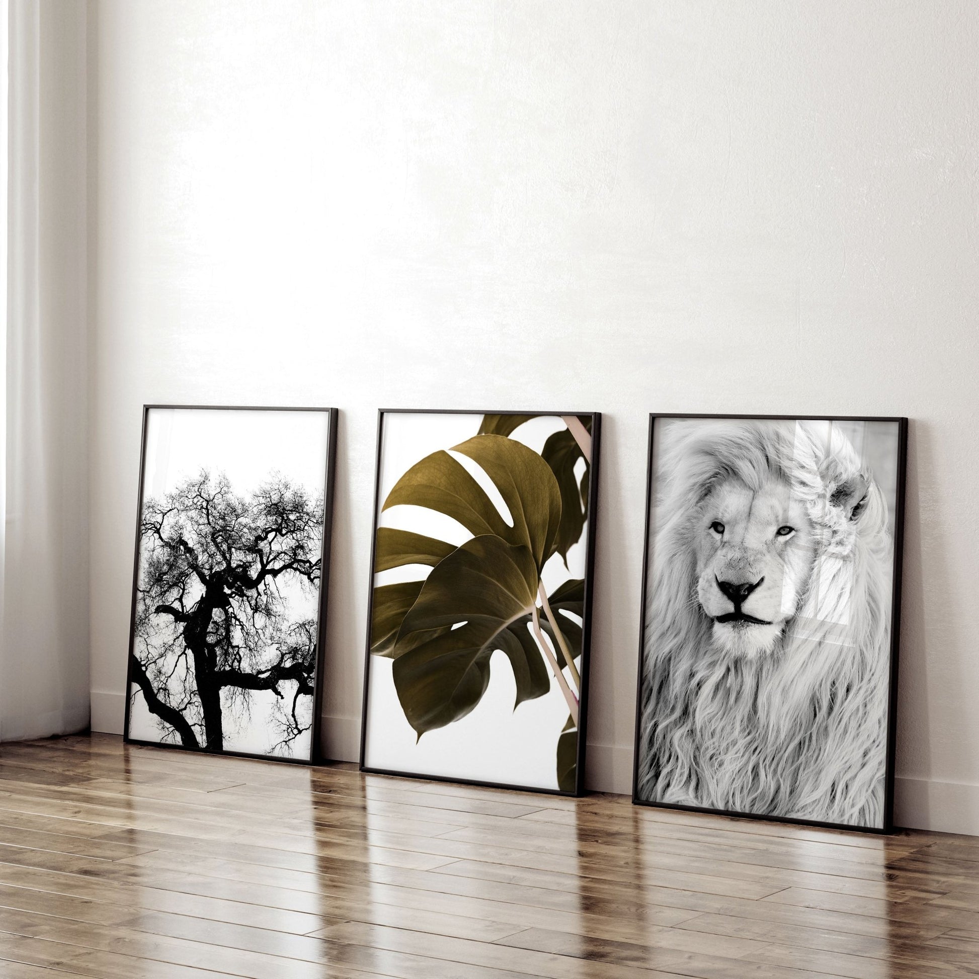 Wall Art Ideas For Living Room | Set of 3 African Wildlife Wall art Prints