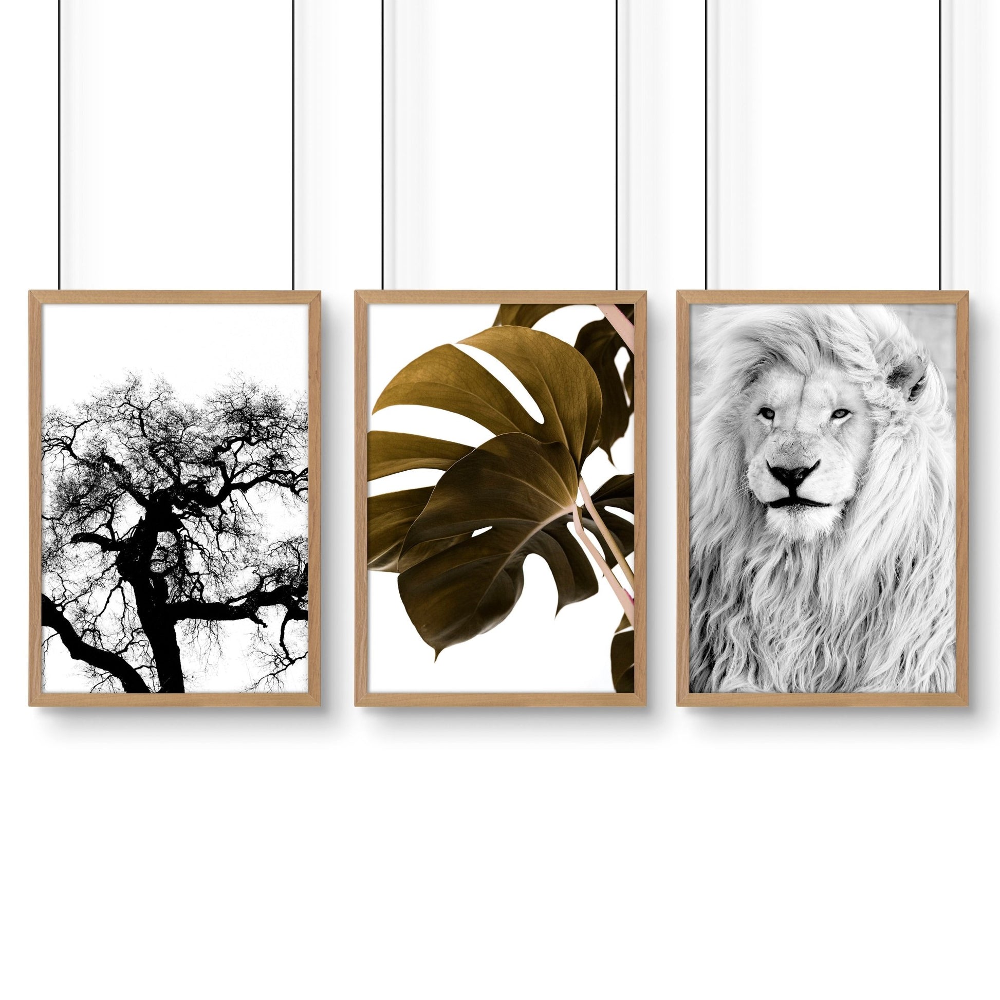 Wall Art Ideas For Living Room | Set of 3 African Wildlife Wall art Prints
