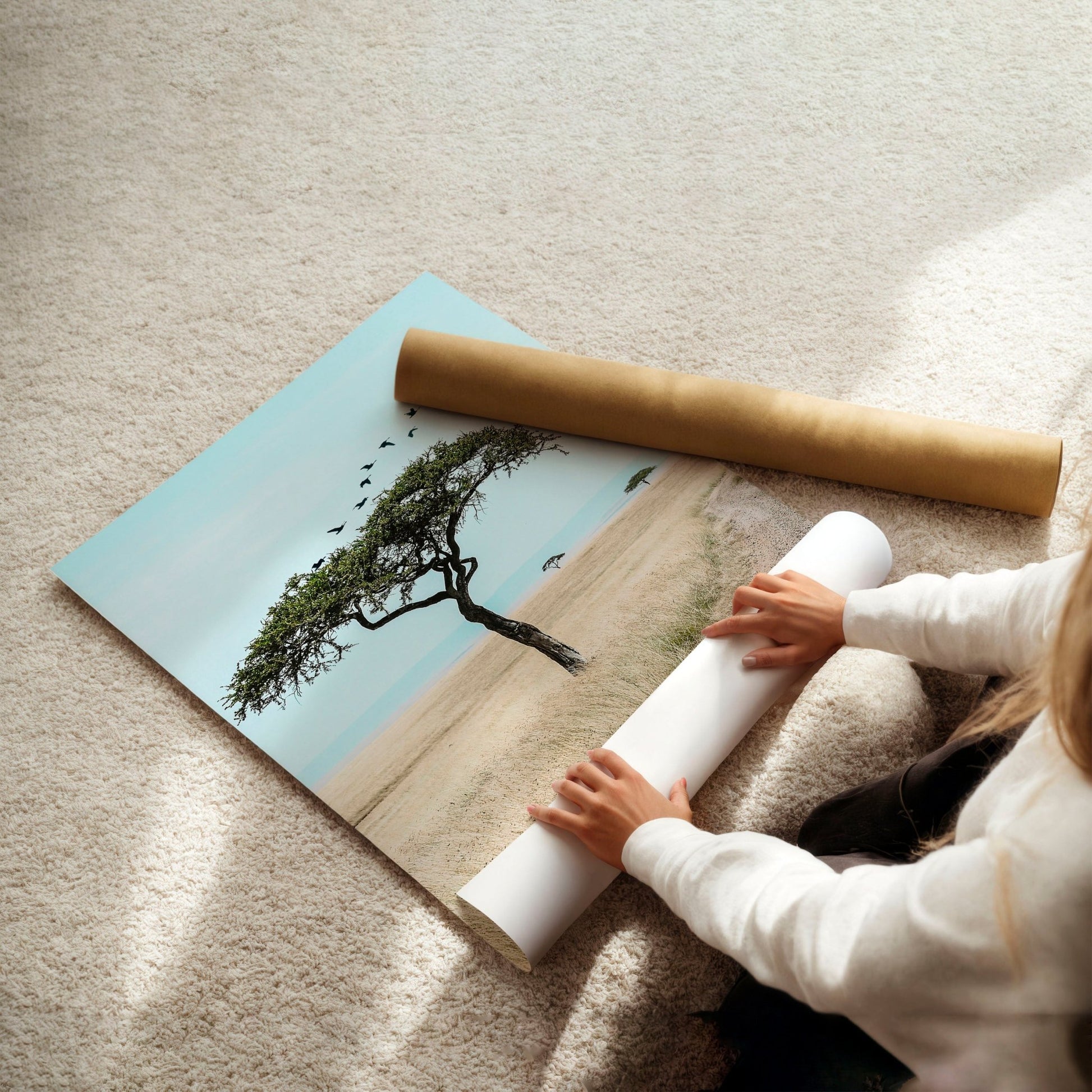 Wall Art Large Prints | Set of 3 African Wildlife Wall art Prints