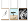 Wall Art Large Prints | Set of 3 African Wildlife Wall art Prints