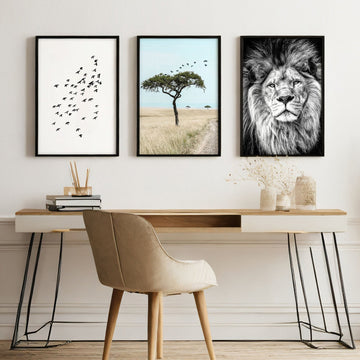Wall Art Large Prints | Set of 3 African Wildlife Wall art Prints