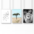 Wall Art Large Prints | Set of 3 African Wildlife Wall art Prints