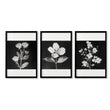 Wall Art Nature Charcoal Botanical Floral wall art in a black frame