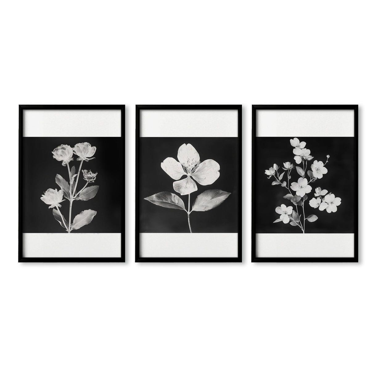 Wall Art Nature Charcoal Botanical Floral wall art in a black frame