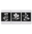 Wall Art Nature Charcoal Botanical Floral wall art as a wrapped canvas