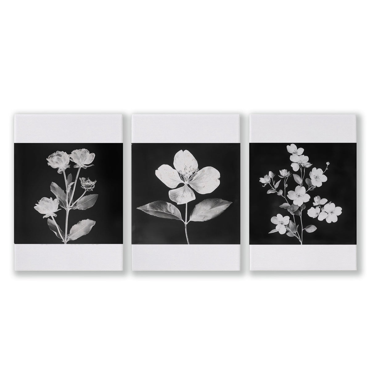 Wall Art Nature Charcoal Botanical Floral wall art as a wrapped canvas