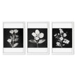Wall Art Nature Charcoal Botanical Floral Prints | Set of 3