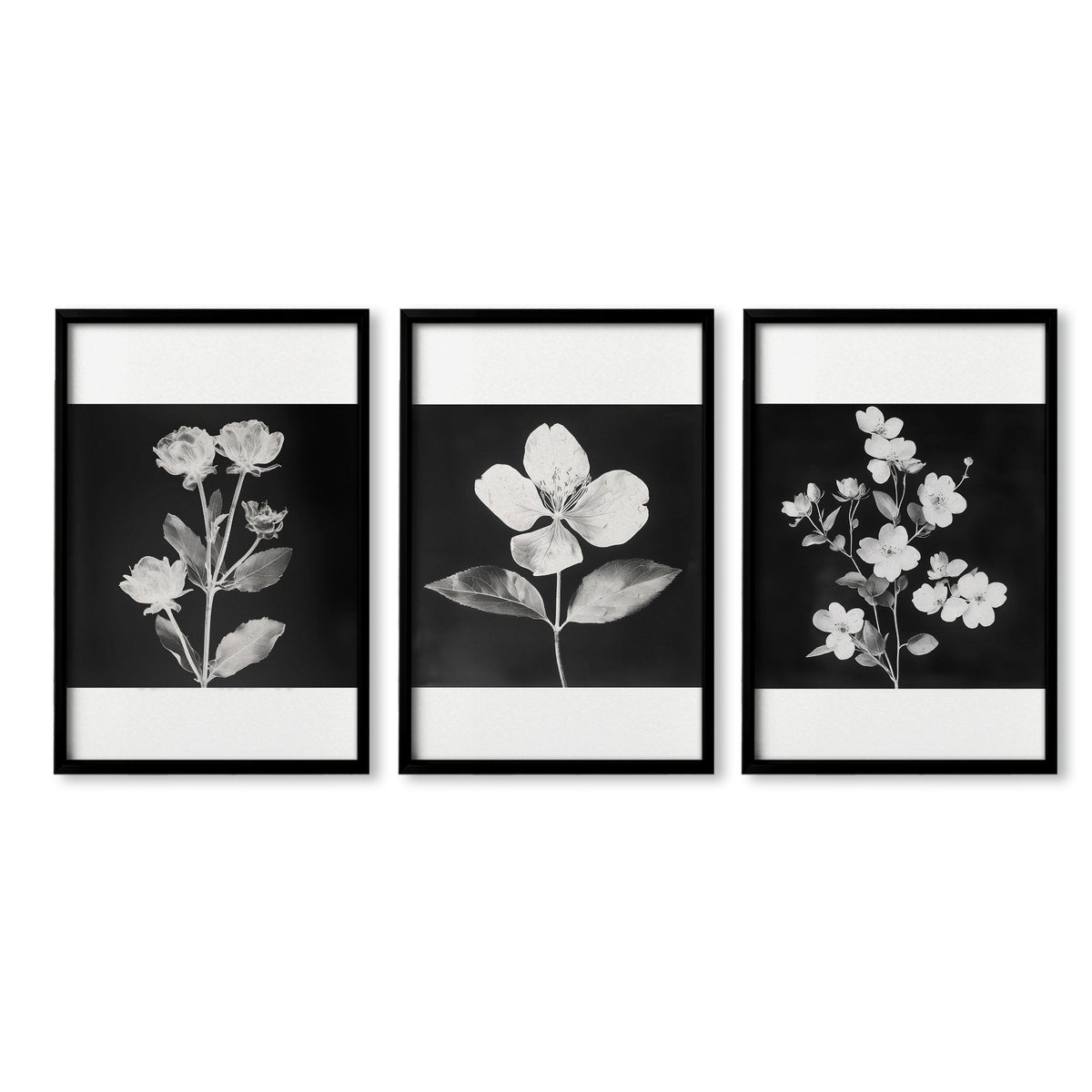 Wall Art Nature Charcoal Botanical Floral Prints | Set of 3