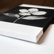 Wall Art Nature Charcoal Botanical Floral wall art displayed on a wall in a styled room — view 6