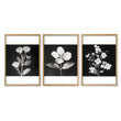Wall Art Nature Charcoal Botanical Floral wall art in an oak frame