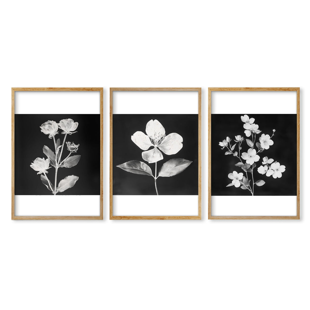 Wall Art Nature Charcoal Botanical Floral wall art in an oak frame
