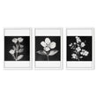 Wall Art Nature Charcoal Botanical Floral wall art in a white frame