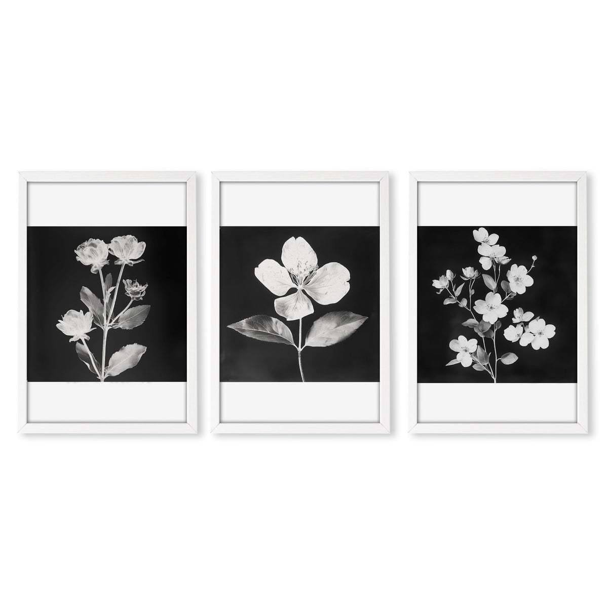 Wall Art Nature Charcoal Botanical Floral wall art in a white frame
