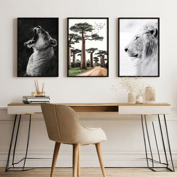 Wall Art Pictures Framed | Set of 3 African Wildlife Wall art Prints