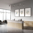 Wall Art Sets | Set of 3 Botanical Wall art Prints