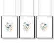 Wall Art Sets | Set of 3 Botanical Wall art Prints