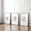 Wall Art Sets | Set of 3 Botanical Wall art Prints