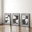 Wall Decoration Large | Set of 3 Botanical Wall art Prints