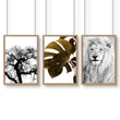 Wall Hanging Art | Set of 3 African Wildlife Wall art Prints