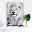 Wall Hanging Art | Set of 3 African Wildlife Wall art Prints
