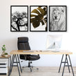 Wall Hanging Art | Set of 3 African Wildlife Wall art Prints