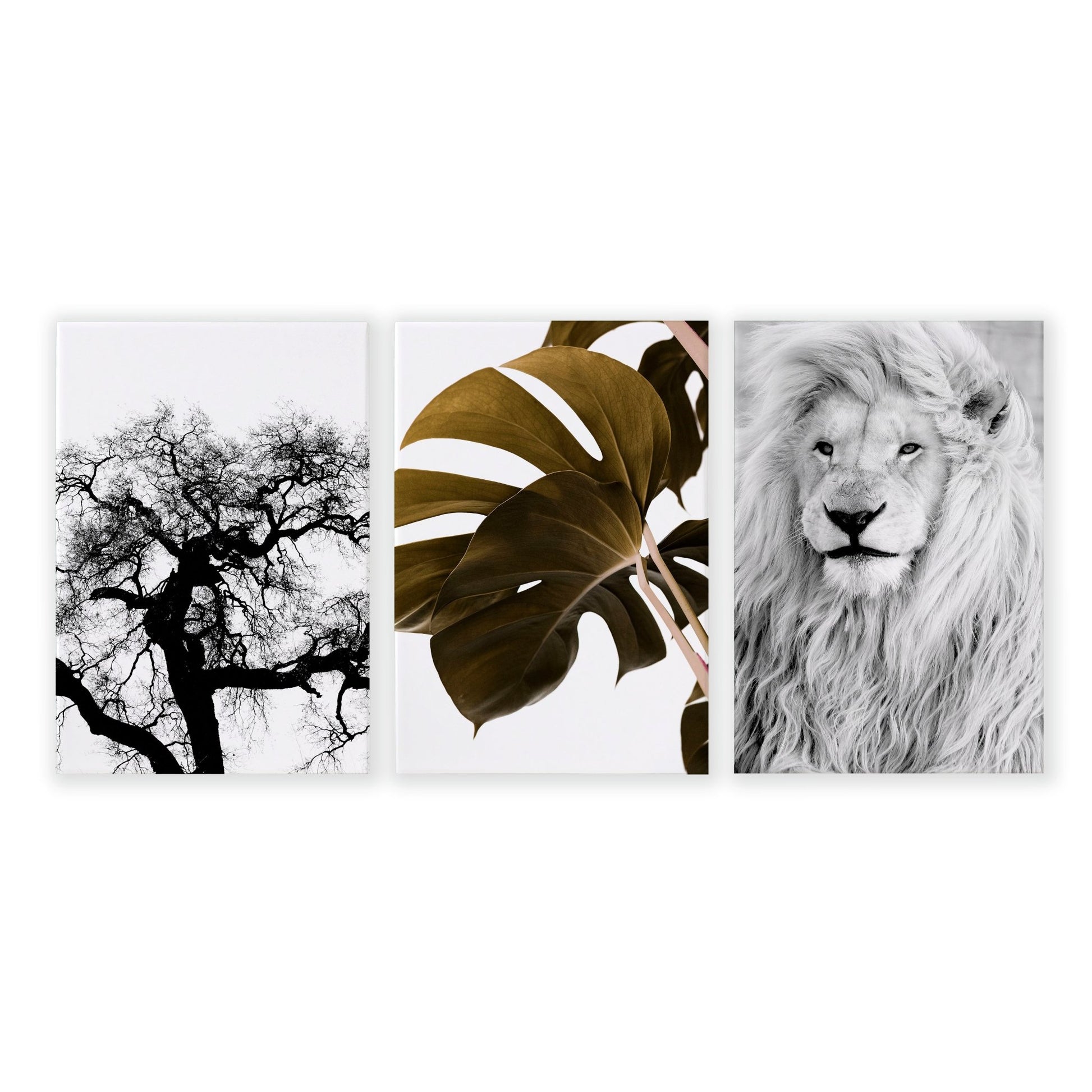 Wall Hanging Art | Set of 3 African Wildlife Wall art Prints