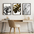 Wall Hanging Art | Set of 3 African Wildlife Wall art Prints