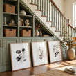 Wall Pictures for Hallway French Country Botanical Floral Ivory Grey Art wall art displayed on a wall in a styled room