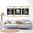 Wall wall art for Living Room Black & White Botanical Florals French Country displayed on a wall in a styled room — view 11