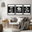 Wall wall art for Living Room Black & White Botanical Florals French Country displayed on a wall in a styled room — view 13