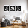 Wall wall art for Living Room Black & White Botanical Florals French Country displayed on a wall in a styled room — view 14