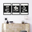 Wall wall art for Living Room Black & White Botanical Florals French Country displayed on a wall in a styled room — view 9