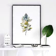 Watercolour Botanical | Set of 3 wall art prints