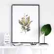 Watercolour Botanical | Set of 3 wall art prints