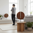 Westo Brown Wood Sculpture With Black Metal Base