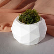 WHITE CONCRETE DIAGONAL POT