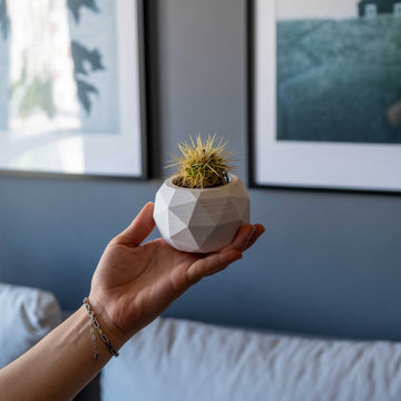 WHITE CONCRETE DIAGONAL POT