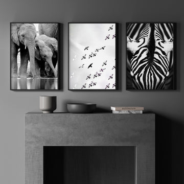 Wildlife Art wall art Black & White Safari — Elephants, Birds & Zebra displayed on a wall in a styled room