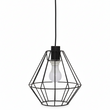 Wyra Black Cage Pendant Light