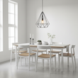 Wyra Black Conical Pendant light