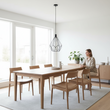 Wyra Black Finish Frame Pendant light