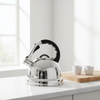 Zion Mirrored 3.2 Ltr Whistling Kettle