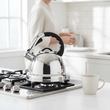 Zion Mirrored 3.2 Ltr Whistling Kettle