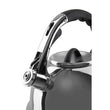 Zion Mirrored 3.2 Ltr Whistling Kettle