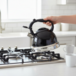 Zion Black 3000Ml Whistling Kettle