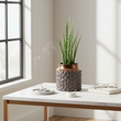 Zircon Large Planter